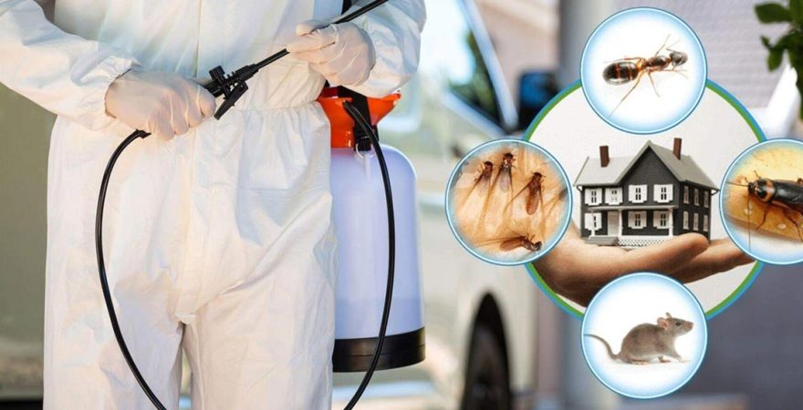 Balya Böcek İlaçlama