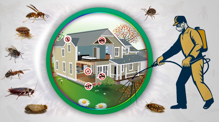 Balya Böcek İlaçlama