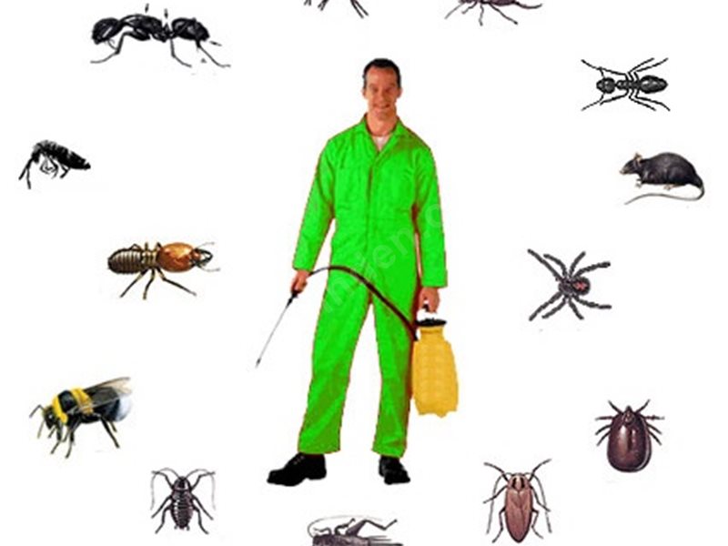 Balya Böcek İlaçlama